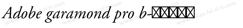 Adobe garamond pro b字体转换